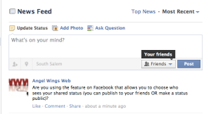 Choose who sees your update on Facebook - friends, public or custom